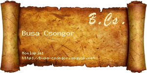 Busa Csongor névjegykártya