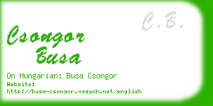 csongor busa business card